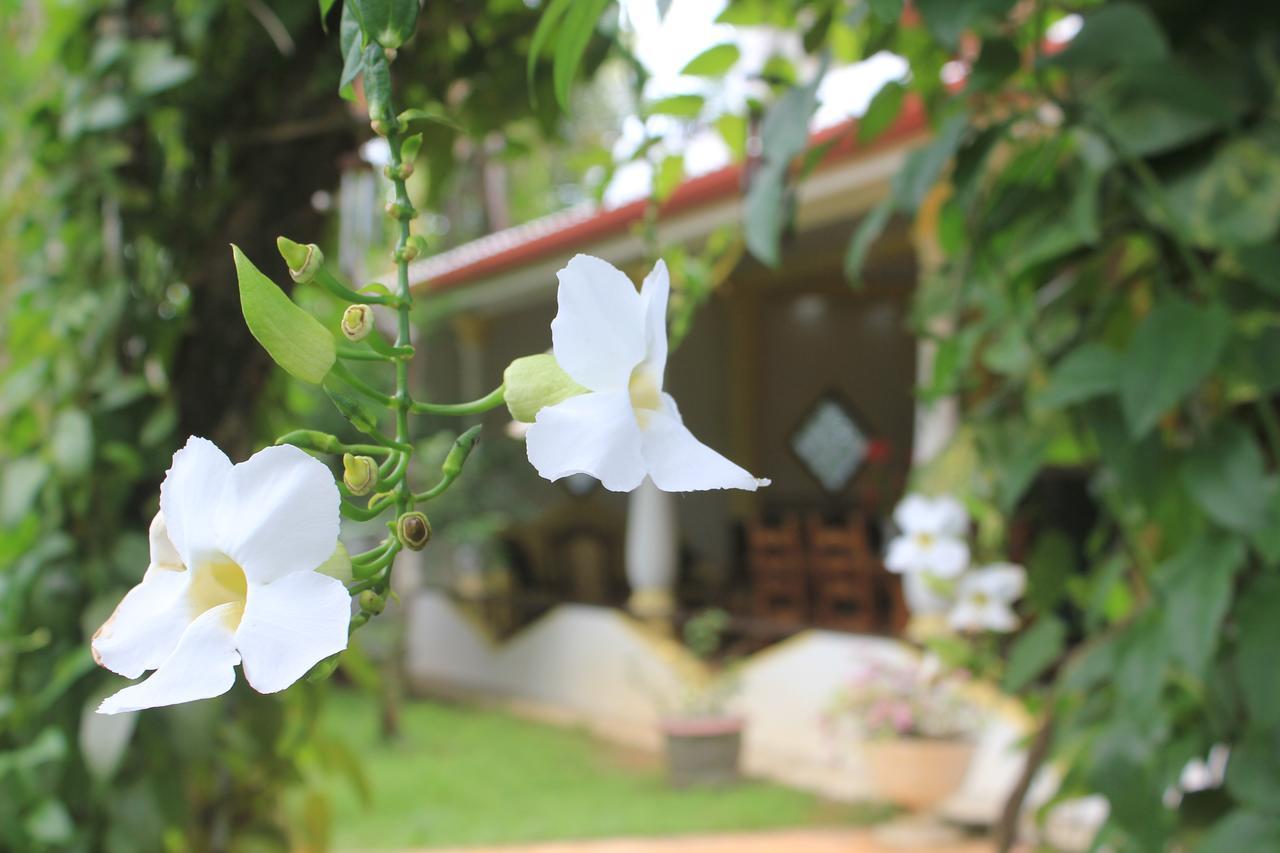 Dionis Villa Unawatuna Exterior photo